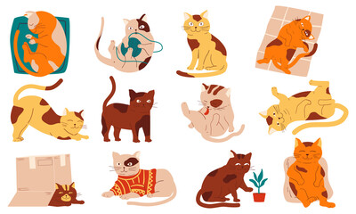 Doodle cats. Funny home pets walking sleeping playing and stretching, purebred cartoon domestic animals collection. Cheerful fluffy adorable kitten in different poses vector isolated set