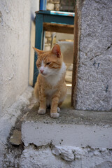 Streets of the old town Marmaris