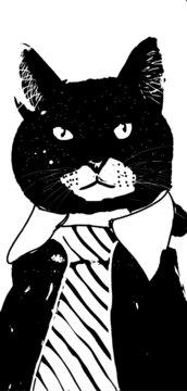 cat and mouse