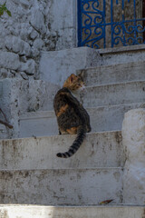 Streets of the old town Marmaris