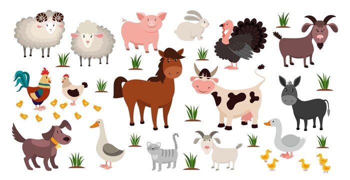 Farm animals. Stock raising concept. Cartoon sheep and goat, horse or cow. Domestic birds with cute chickens. Funny pets and livestock. Natural agriculture, vector rustic colorful set