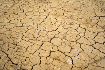Terra arida nel deserto senza acqua