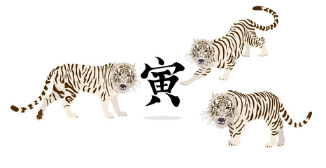 Fototapeta na wymiar 寅（Tiger）