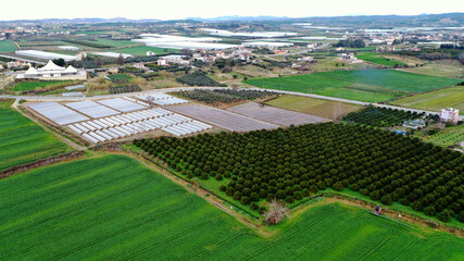 Huge greenhouses near to pine tree on farm land. Growing fruits and vegetables in greenhouse. Aerial view.