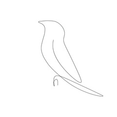 Bird animal line drawing, vector illustration