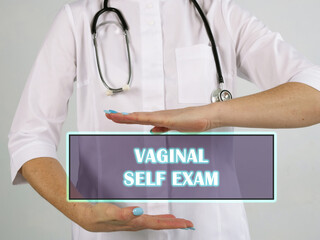  VAGINAL SELF EXAM text in futuristic screen.