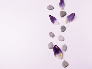 light spa background with gray stones and tulip petals