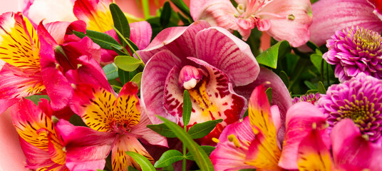 Phalaenopsis orchid. Romantic orchid bud among flowers. horizontal photo © Anzhelika