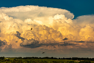High detail thunderstorm clouds over a rural landscape 