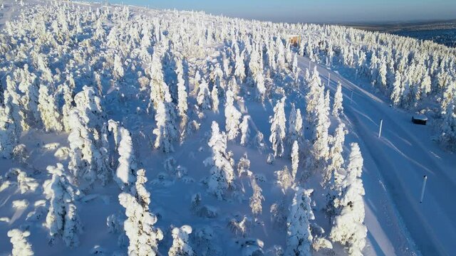 Aerial flight over snow covered trees. Lapland Finland 