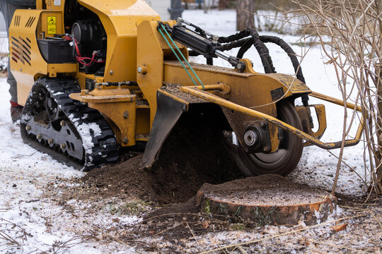 Tree Stump Removing Process With Yellow Stump Grinder