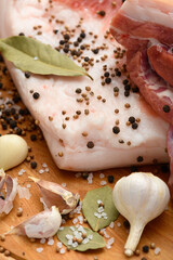 raw pork meat and lard with salt, spices and garlic on a cutting board, dark wooden background