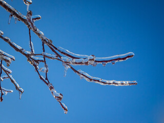 Frost on trees in a Beautiful winter landscape with Ice