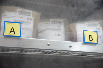 Blood bags in blood bank.