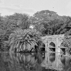 Mughal Architecture inside Lodhi Gardens, Delhi, India, Arches Inside the The Three-domed mosque in...