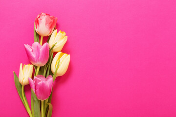 spring flowers on pink paper background