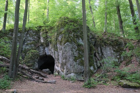 Bear's Cave in the Park Reserve in Zloty Potok, Trail of Karst Phenomena in Krakowsko-Czestochowska Upland, "Eagles' Nests" Landscape Park, Silesia, Poland