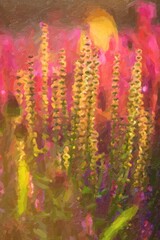 Exotic flowers Bistort Mountain Fleece or Persicaria Amplexicaulis