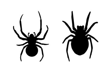 Spider Black Widow set. Black bug spider silhouette, isolated white background. Scary Halloween icon, symbol horror, animal arachnid, creepy dangerous insect, arachnophobia fear Vector illustration