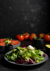 selective focus. green salad of fresh herbs, natural food. on a dark background in a low key. a base for a light snack