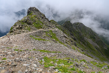 Fototapeta na wymiar 北岳の登山道