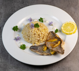 Lemon-spiked sea bream fillet, cooked wheat risotto on plate