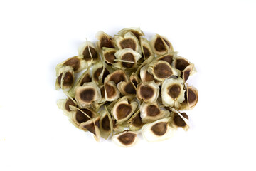 Pile of dry moringa seeds isolated on white background.