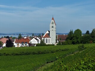 Fototapeta na wymiar Panorama mit St.-Johann-Baptist-Kirche, Häusern und Weinbergen in Hagnau am Bodensee