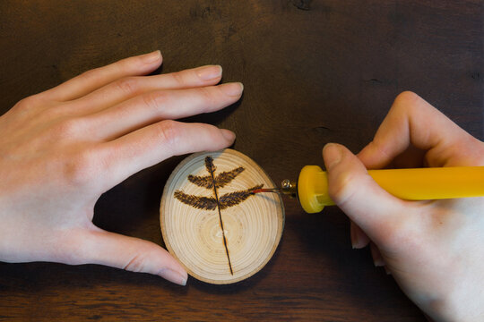 Close-up of female hands making a tree twig sign on wooden disc.