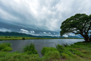 Ngorongoro crater, Tanzanian World heritage site, during rainy season