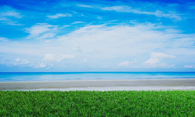 Bright green grass field or lawn next to the beach or sea with bright blue sky and white clouds. 3D Rendering. Panorama of the sea and the beach with green grass.