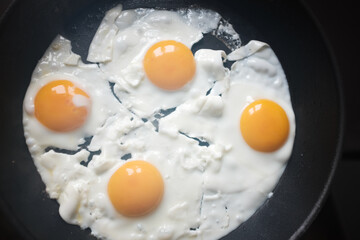 oeuf sur le plat