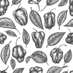 Hand drawn sketch style scotch bonnet pepper seamless pattern. Organic fresh vegetable vector illustration. Retro cayenne pepper background