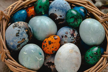 Happy Easter concept with easter eggs in nest and willows. Easter background.
