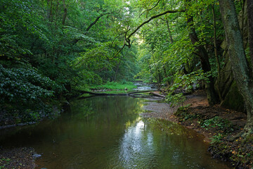 Naklejka premium Skryje small lakes with waterfall in beautiful forest nature reserve, popular hiking destination, Krivoklat, Czech Republic