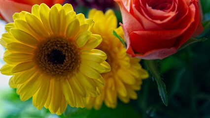 Bright and cheerful flowers for Mother’s Day in the UK