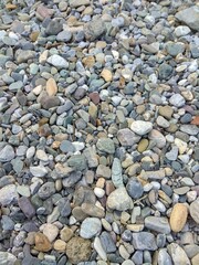 pebbles on the beach