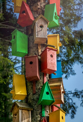 Multicolored colorful birdhouses for birds in the spring sunny forest	