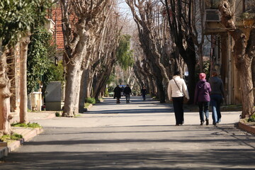 Fototapeta na wymiar Those who enjoy the magnificent street designed with trees in Büyükada, Istanbul