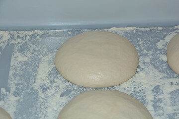 cornmeal Raw yeast dough for pizza or bread or italian pasta