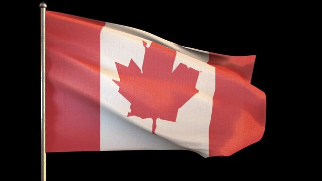 Canada flag is waving 3D animation. Canada flag waving in the wind. National flag of Canada. flag seamless loop animation. 