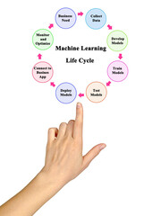 Stages of Machine Learning Lifecycle