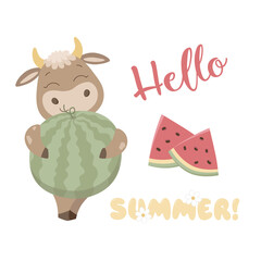 Hello summer Cute bulls with watermelon summer and spring isolate on a white background. Vector graphics