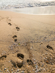 foot prints on the sandy beach in summer