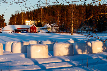 A winter country landscape with hay bales and hare tracks on snowy field in sunset.