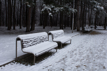 Park benches covered in snow