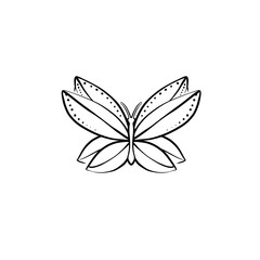 butterfly on a white background lines cartoon drawing 