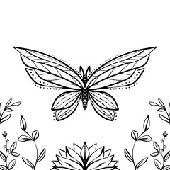 Cute butterfly on a white background lines cartoon drawing flowers