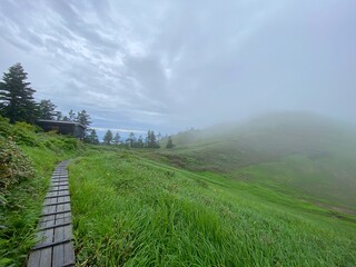 山頂から見える景色