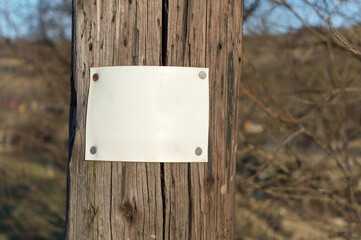 Blank sign stapled to a telephone pole